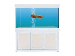 簡(jiǎn)歐龍缸-瓷白