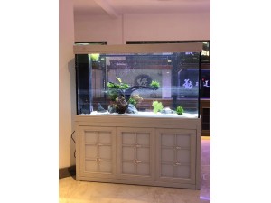 白橡木實(shí)景圖