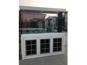 米白實(shí)景圖