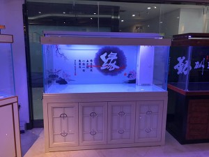 白橡木實(shí)景圖