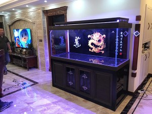 紫楠木實(shí)景圖