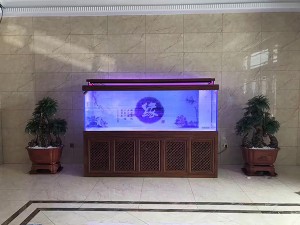 酸枝木實(shí)景圖