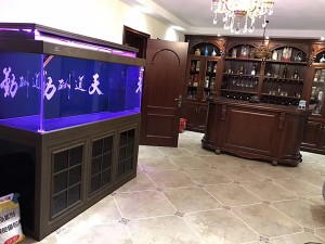 紫楠木實(shí)景圖