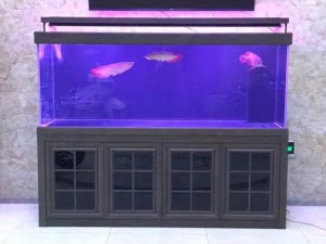 紫楠木實(shí)景圖