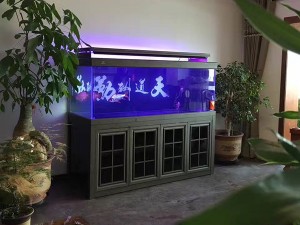 紫楠木實(shí)景圖