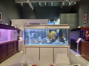 御龍閣-金套白-雙面看