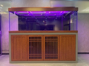 龍巴克智能龍魚缸