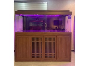 龍巴克智能龍魚缸