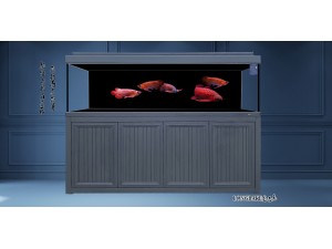 龍巴克智能龍魚缸