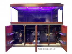 龍巴克智能龍魚缸