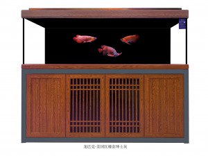 龍巴克智能龍魚缸