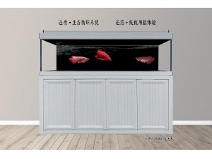 龍巴克智能龍魚缸