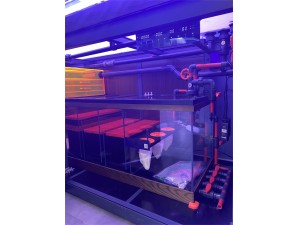 韻博實木精養(yǎng)缸