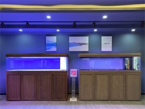 韻博精養(yǎng)缸