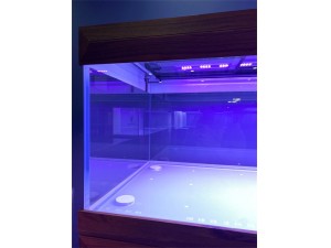 韻博實(shí)木精養(yǎng)缸