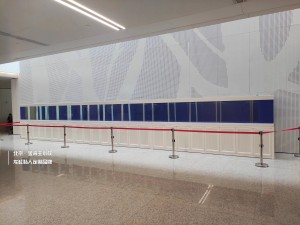 金海王實(shí)景案例圖-12米