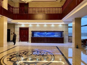 金海王實(shí)景案例圖-法歐系列5米