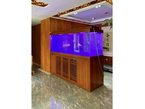 金海王實景案例圖-龍巴克2.5米，雙面看