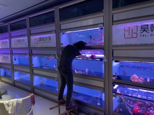 金海王實景案例圖-組缸