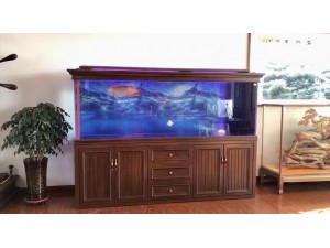 金海王實景案例圖-法歐2.5米，紅木