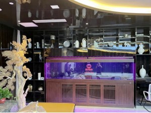 金海王實景案例圖-龍巴克3.66米