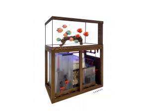 韻博精養(yǎng)缸